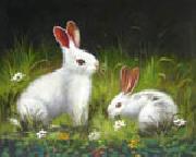 unknow artist Rabbit oil painting picture wholesale